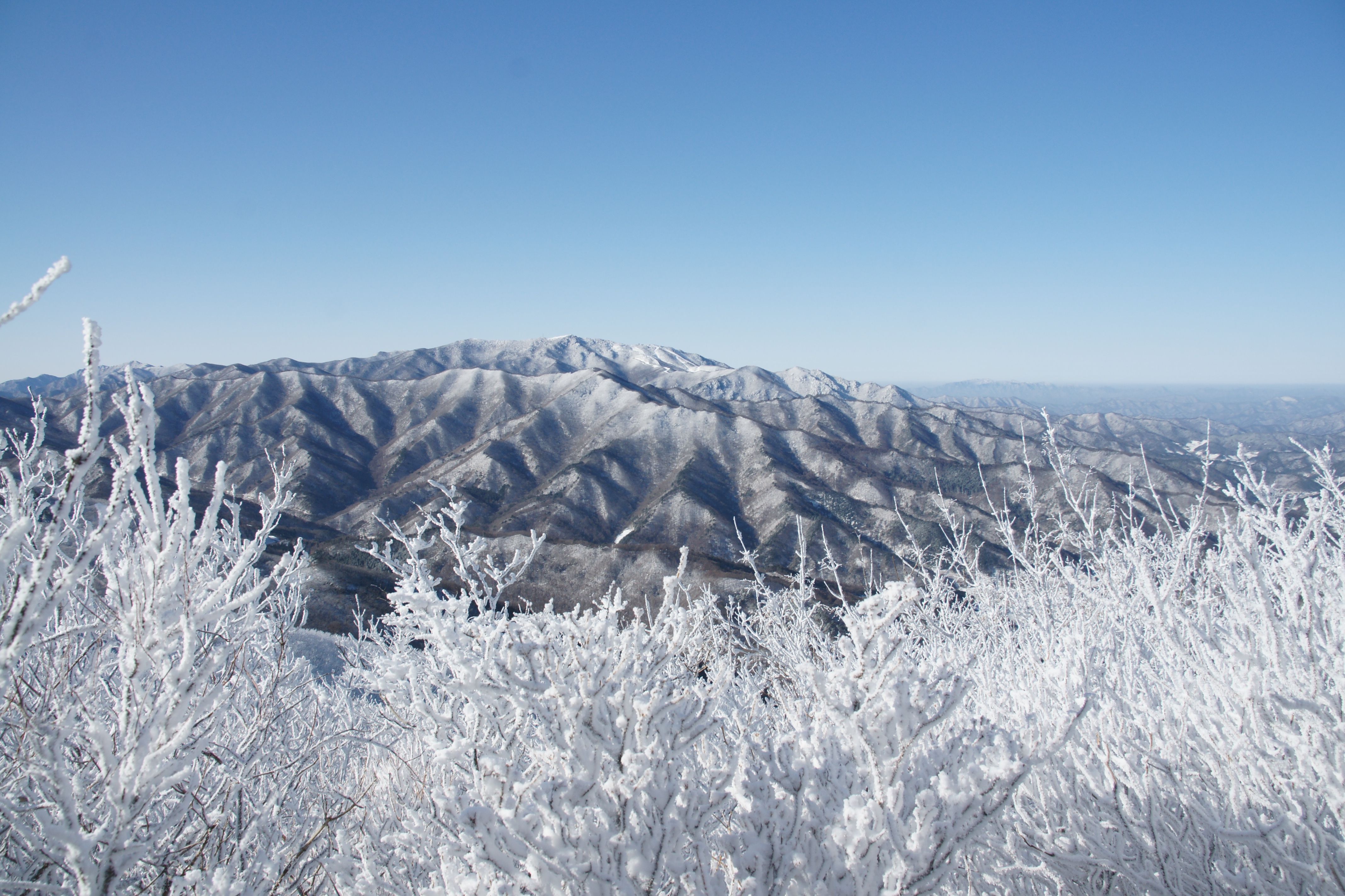 연말정산 절세 전략