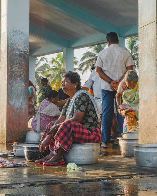 Free Fisherwomen sorting fish at a busy market in Thiruvananthapuram, India. Stock Photo