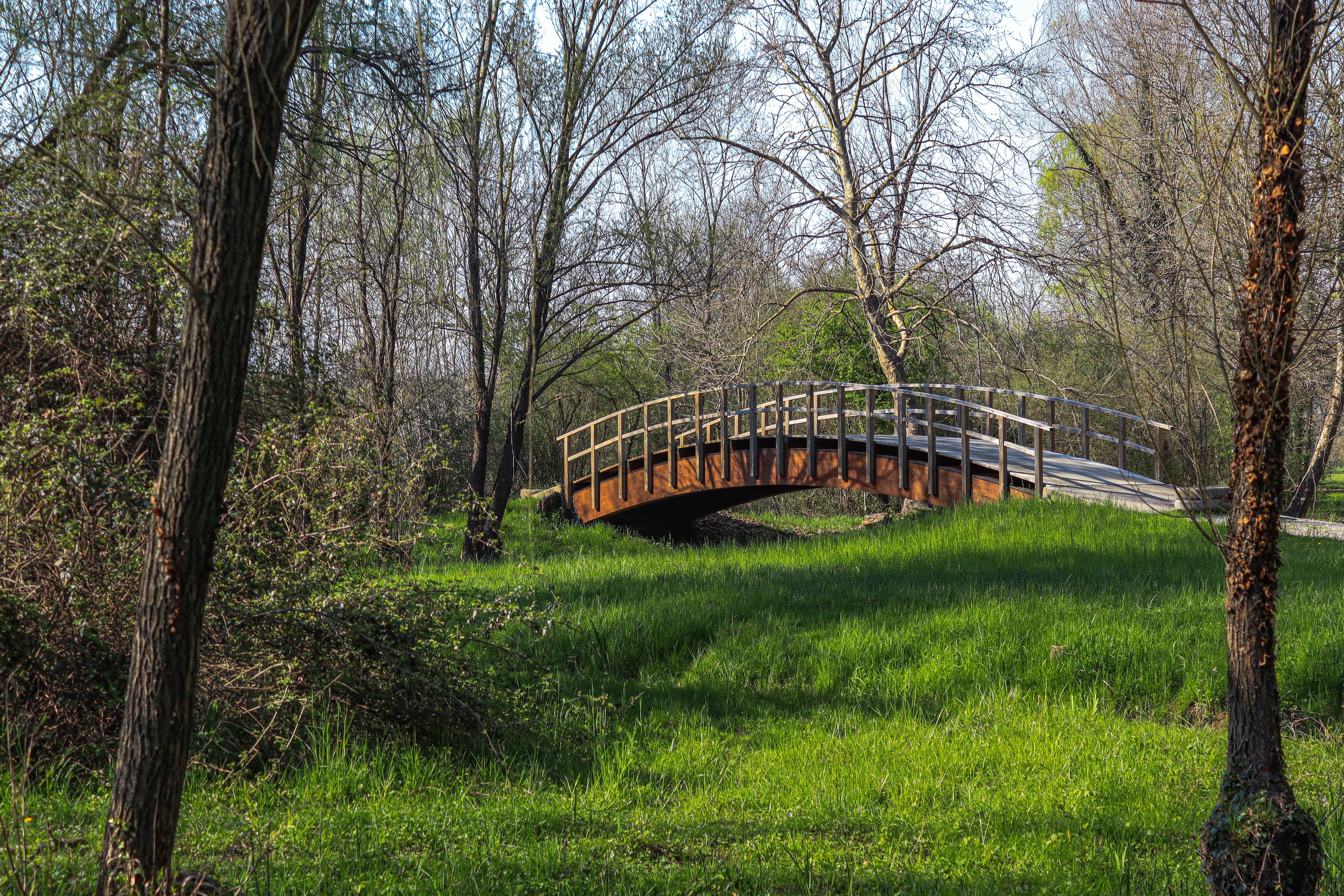 Charlottesville Parks &amp; Recreation Outdoor Pools Open Memorial Day Weekend — Photo by Lorenza Magnaghi on Pexels