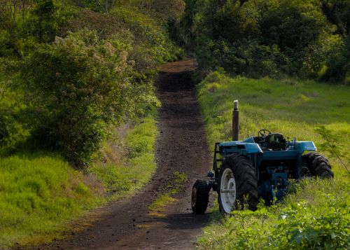 Free A blue tractor parked on a rustic dirt path amidst lush green terrain and trees. Stock Photo