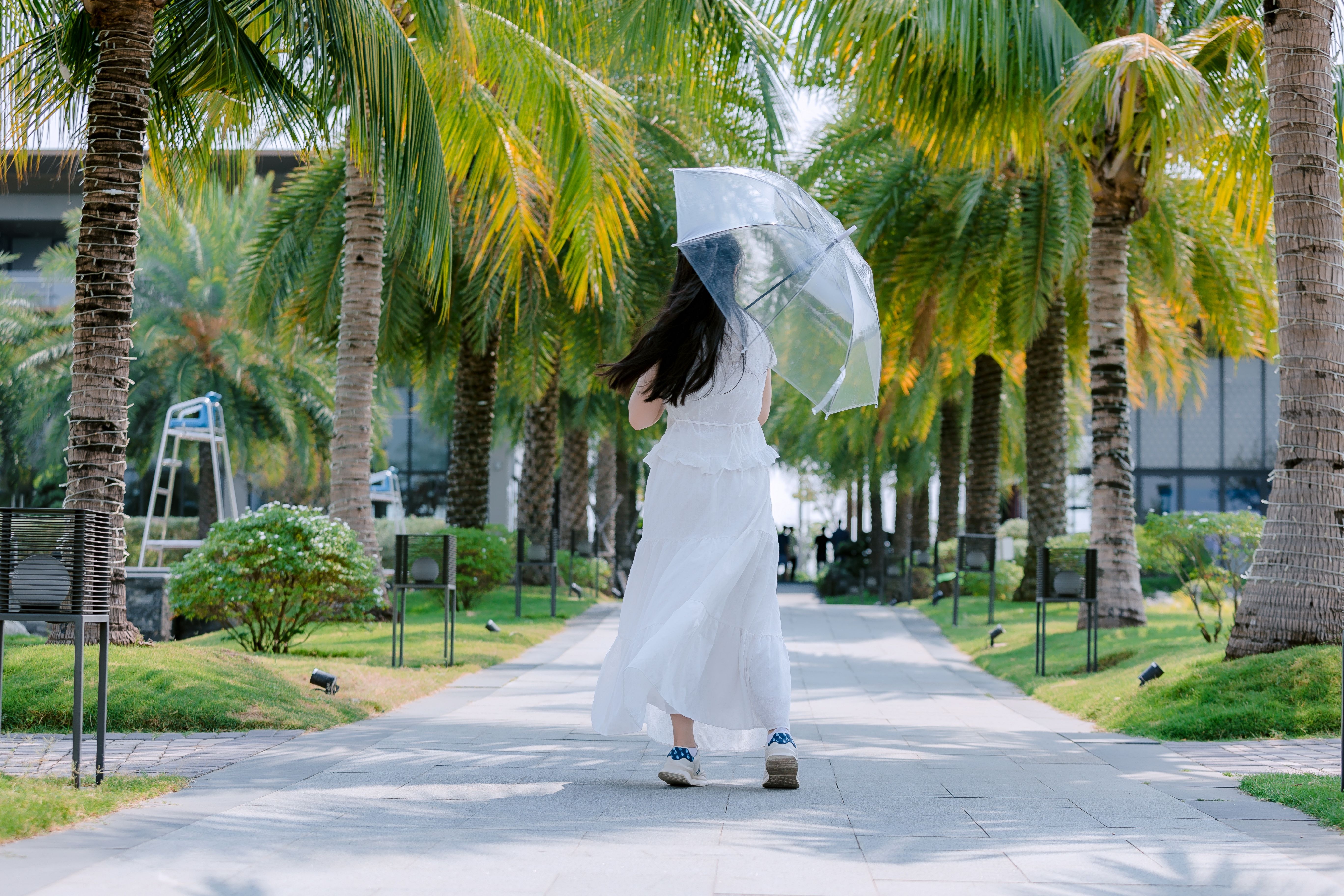 A woman in a white dress walks along a palm tree lined path holding a transparent umbrella.
