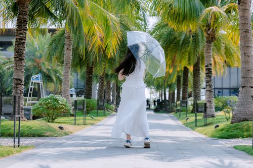 Free A woman in a white dress walks along a palm tree lined path holding a transparent umbrella. Stock Photo