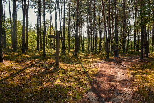 A hiker walks through a serene forest in Poland, approaching a wooden cross under dappled sunlight.