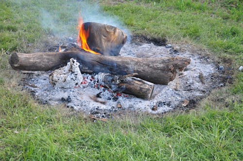 Foto profissional grátis de fogo em uma grama, fogueira