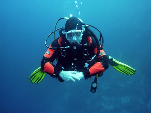 Free Human in Black Orange Swimming Suit in Blue Body of Water Stock Photo