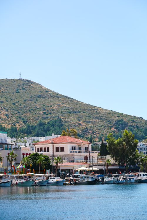 Free Peaceful summer day at Bodrum harbor showcasing boats, buildings, and a lush hillside under clear blue skies. Stock Photo