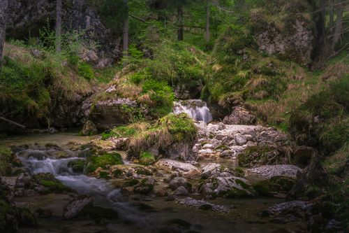 Free A tranquil forest scene showing a rocky waterfall surrounded by lush greenery and stones. Stock Photo