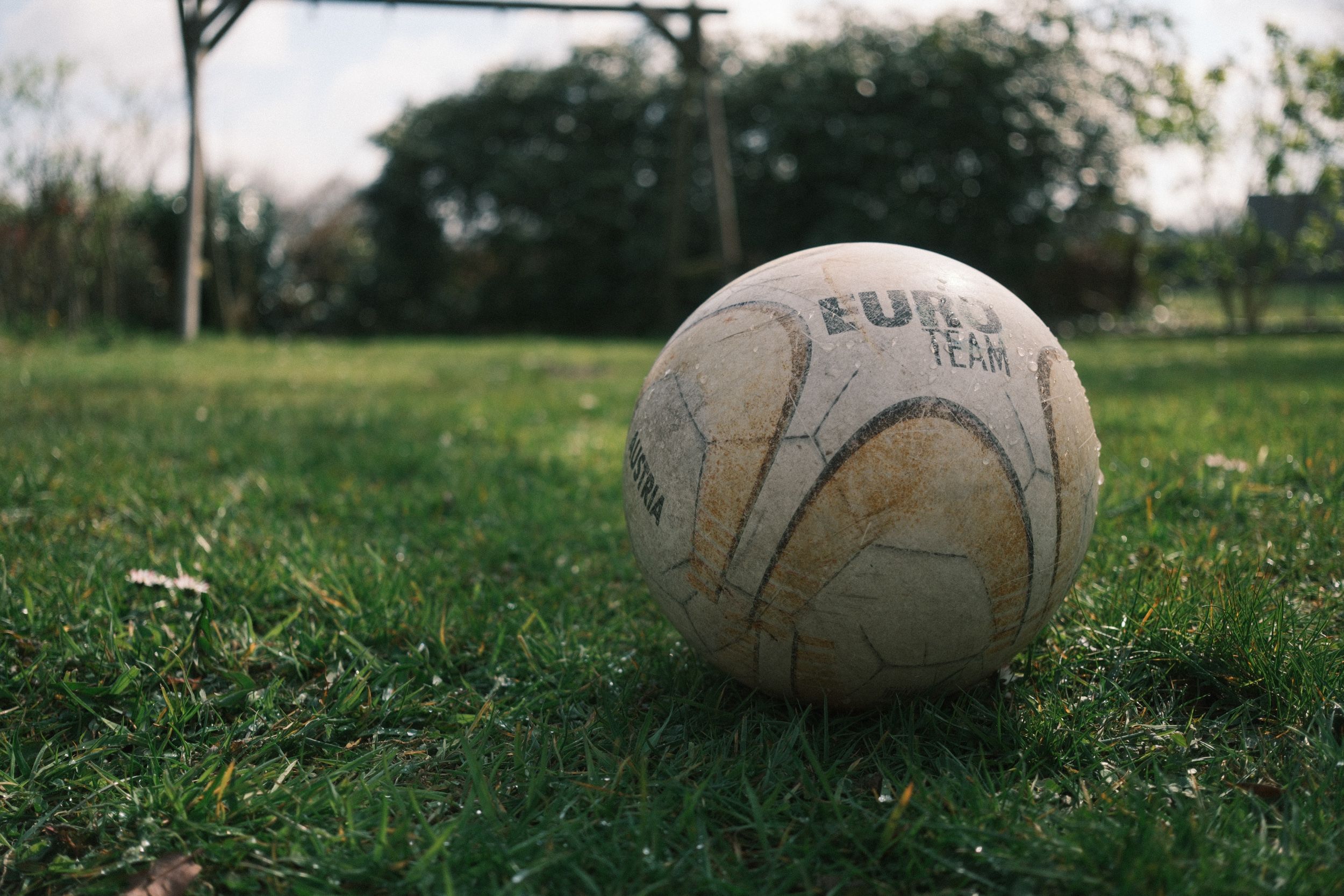 20 Sports Terms That Have Become Part of Everyday Conversations — Photo by Steffen Rühlmann on Pexels