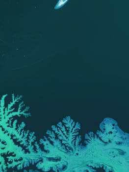 迷人的流体艺术以蓝色和绿色的有机图案为特色