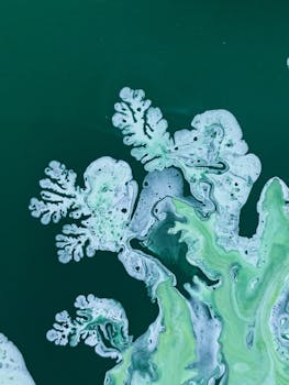 这幅抽象画生动地展现了绿色与白色漩涡交织的图案，宛如自然构造一般