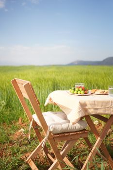 A serene outdoor dining scene with wooden chairs in a lush green field under a clear sky.
