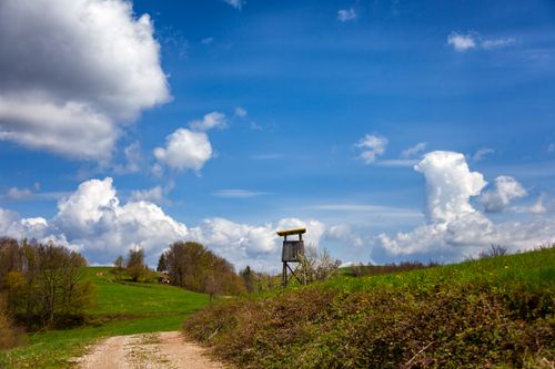 Free Serene Slovenian rural landscape with a wooden hunting tower under a bright blue sky and fluffy clouds. Stock Photo