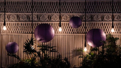 Hanging Bulbs and Purple Paper Lanterns Hanging Near Green Plants