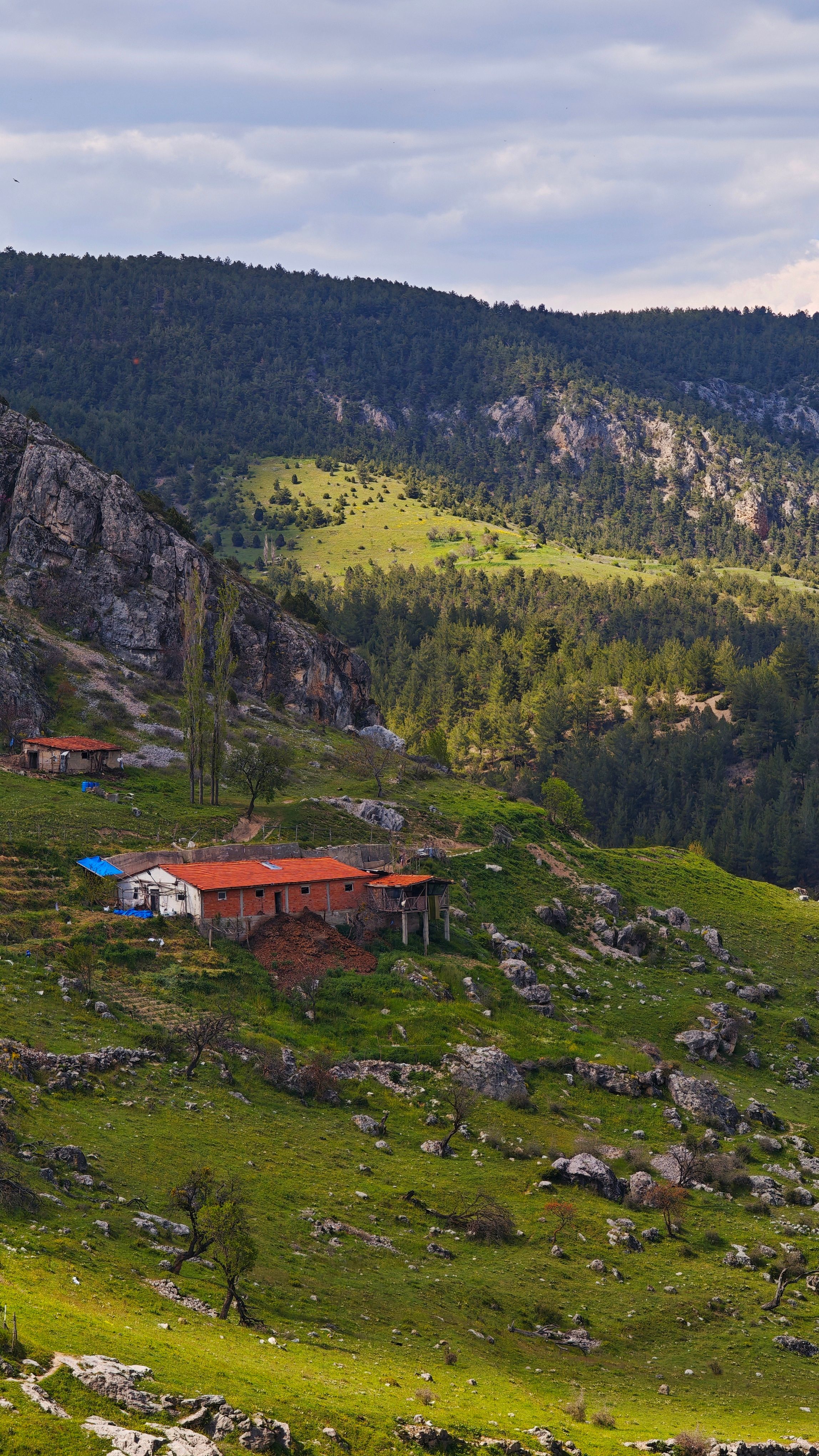 Scenic view of a rustic cabin nestled in a lush mountain landscape, perfect for nature lovers.