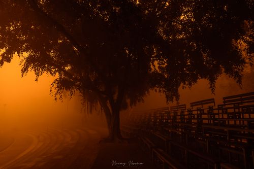 Free stock photo of foggy day, foggy landscape, foggy morning Stock Photo
