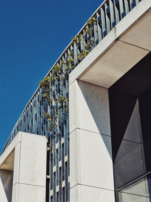 Free Stylish white facade with vertical garden under clear sky, modern design. Stock Photo