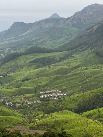 Sunset Point Safari Munnar
