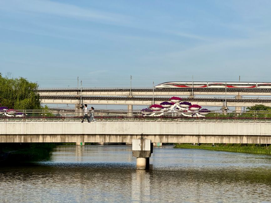 maglev train sensor