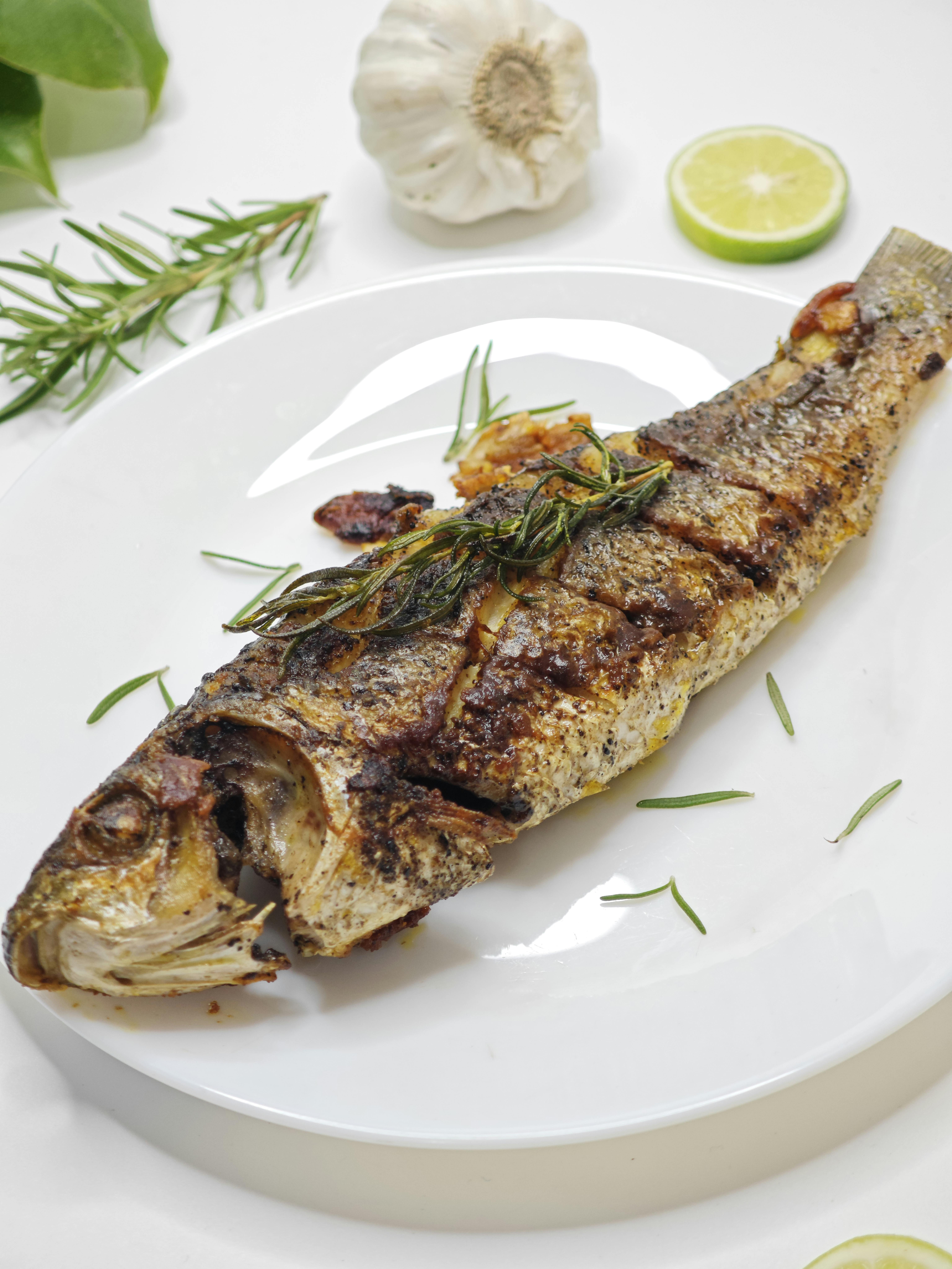 Delicious grilled fish with rosemary and lime on a white plate.