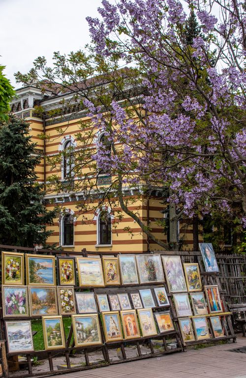 Free Colorful art paintings displayed under a purple flowering tree near a historic building. Stock Photo