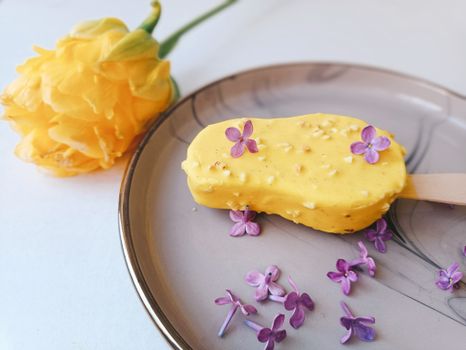 Where to Find Nanaimo Bars: The Ultimate Canadian Treat Guide
