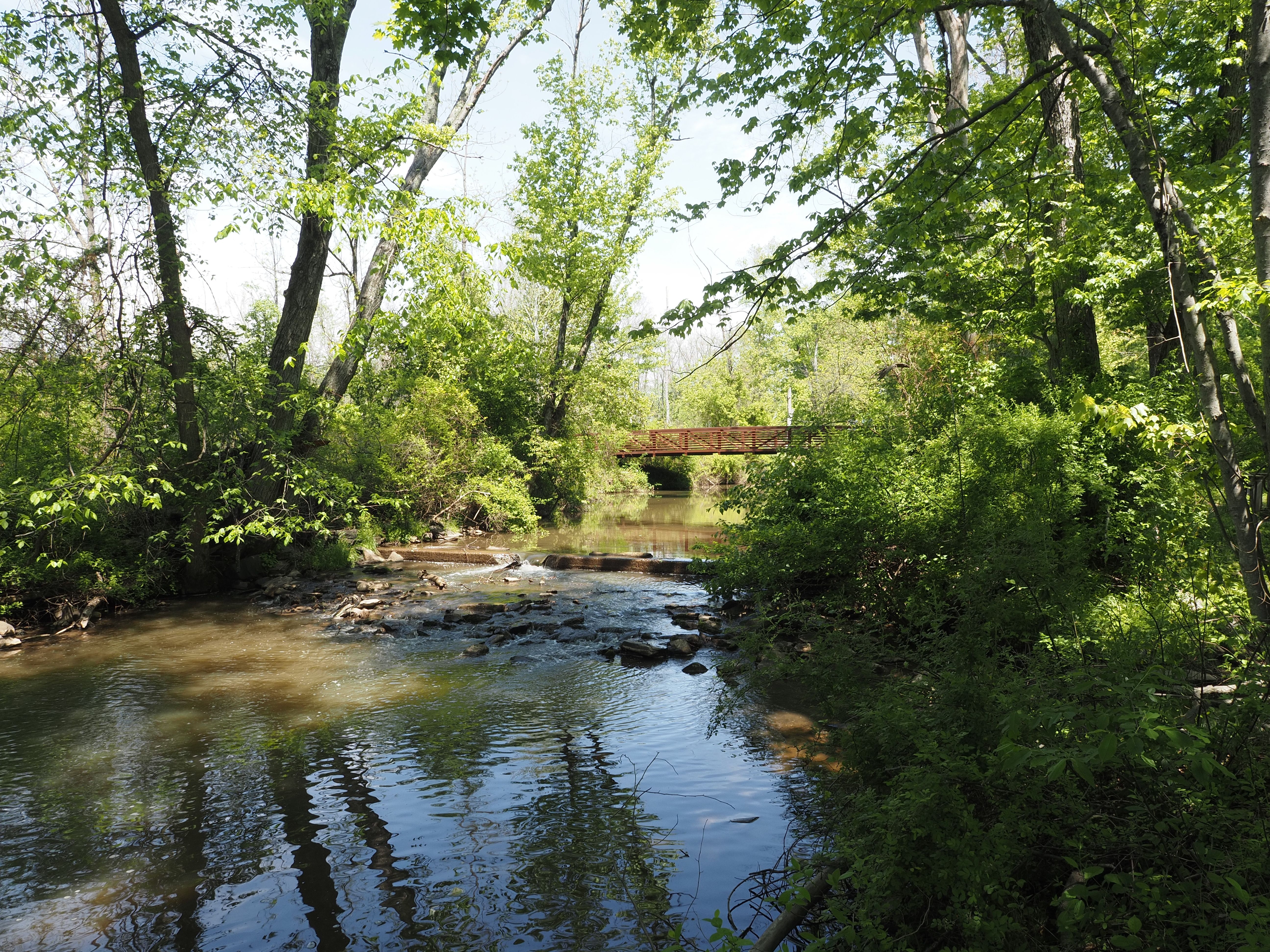 Peaceful creek scene with a bridge in lush spring greenery, Chalfont, PA.