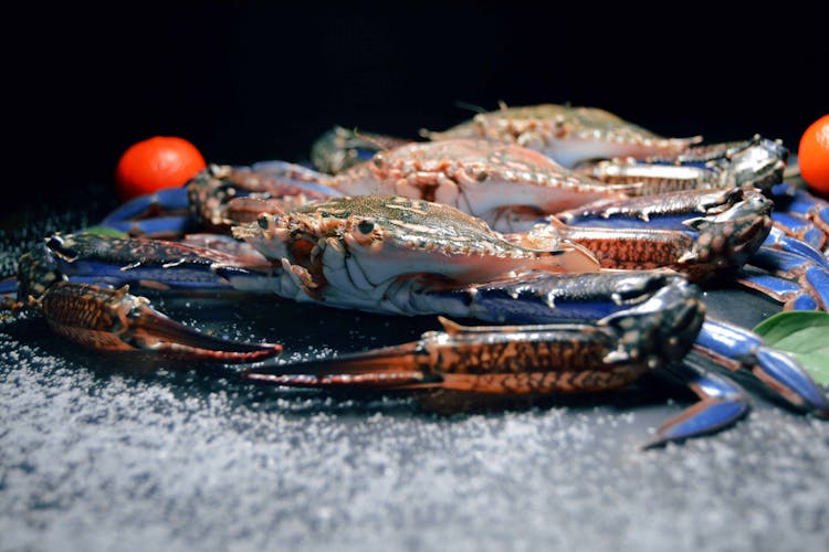 Frozen Crabs On Gray Surface