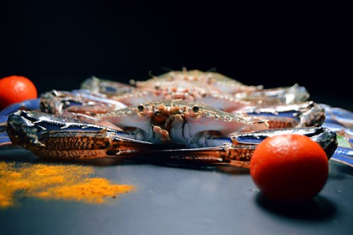 Darmowe zdjęcie z galerii z azjatyckie jedzenie, bluecrabs, egzotyczne jedzenie