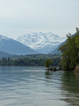 A serene view of the snow-capped Alps overlooking Lake Thun in Switzerland, capturing natural beauty in spring.