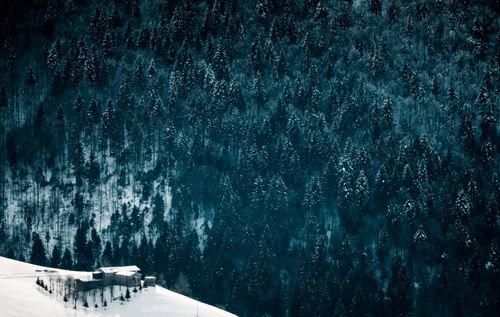 Free From above breathtaking view of wooden house on snowy terrain surrounded by mounts covered with trees in wintertime in cold weather Stock Photo