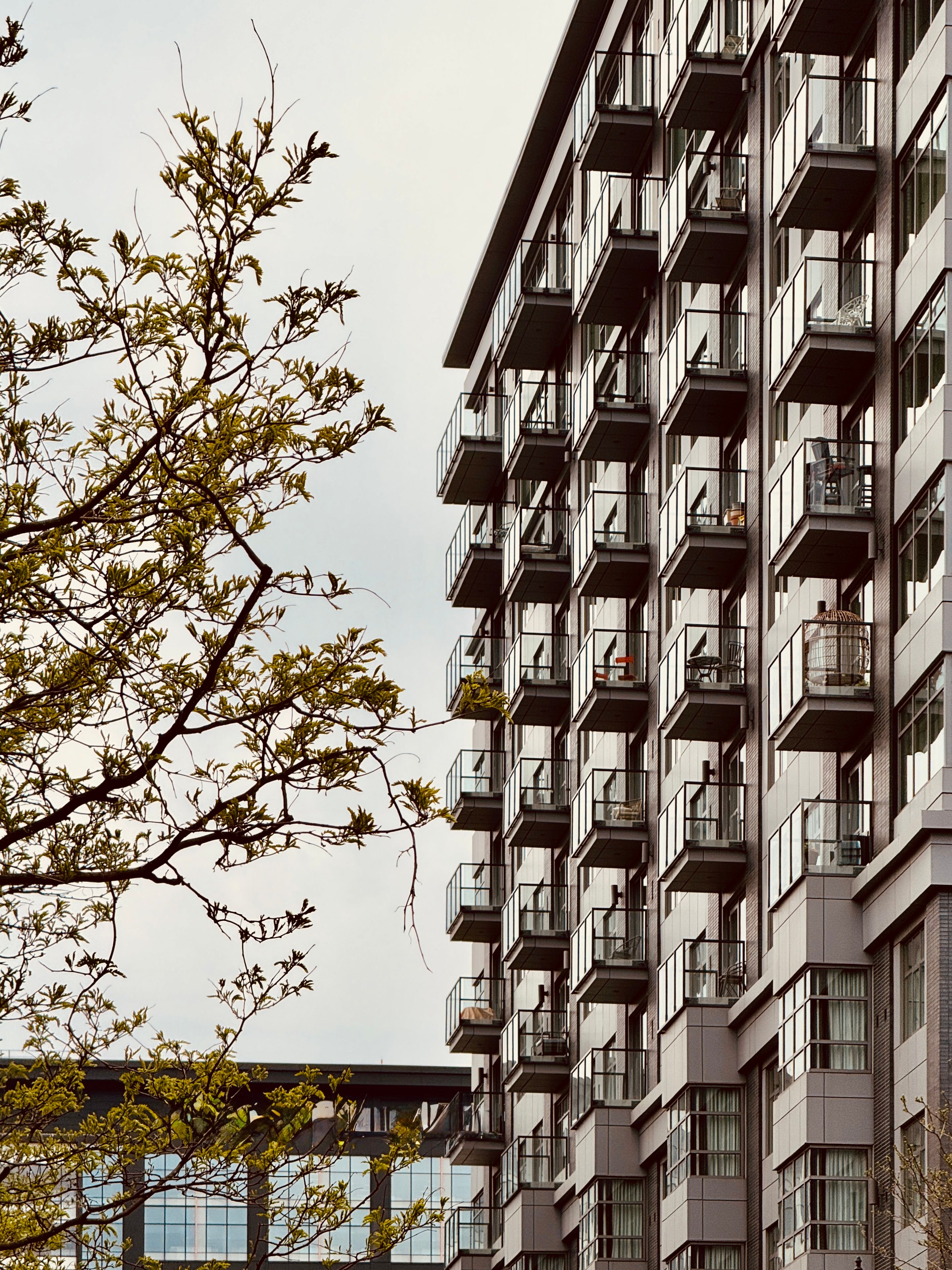 A modern apartment building with balconies in Boston during spring, featuring lush green foliage.