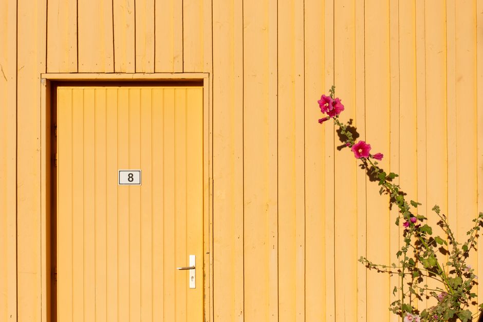 A minimalistic view of a yellow wooden door marked with number 8, accented by pink flowers on a sunny day.