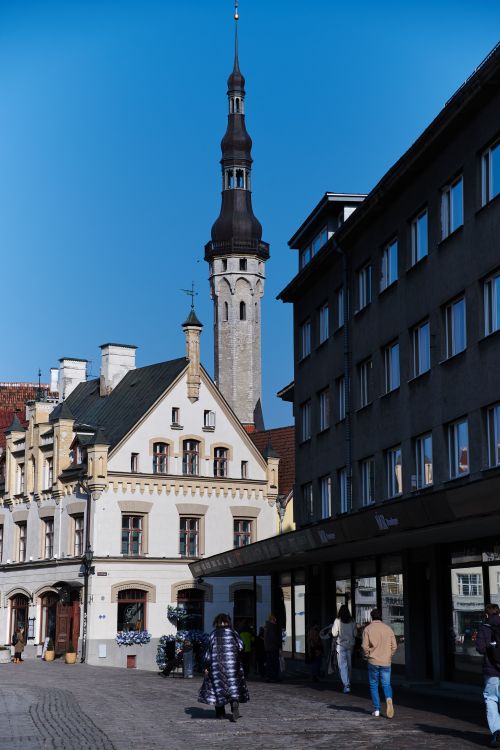 Free Discover the historic architecture of Tallinn's Old Town with a stunning view of a stone tower. Stock Photo