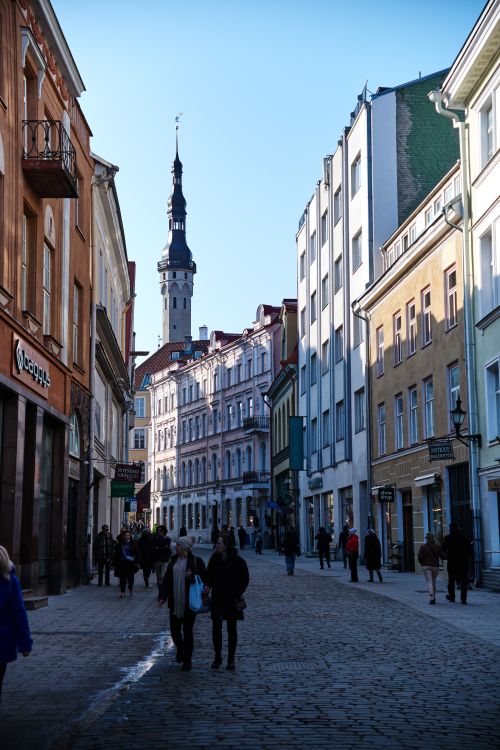 Free Discover the charm of Tallinn's Old Town with its classic architecture and vibrant street life under a blue sky. Stock Photo