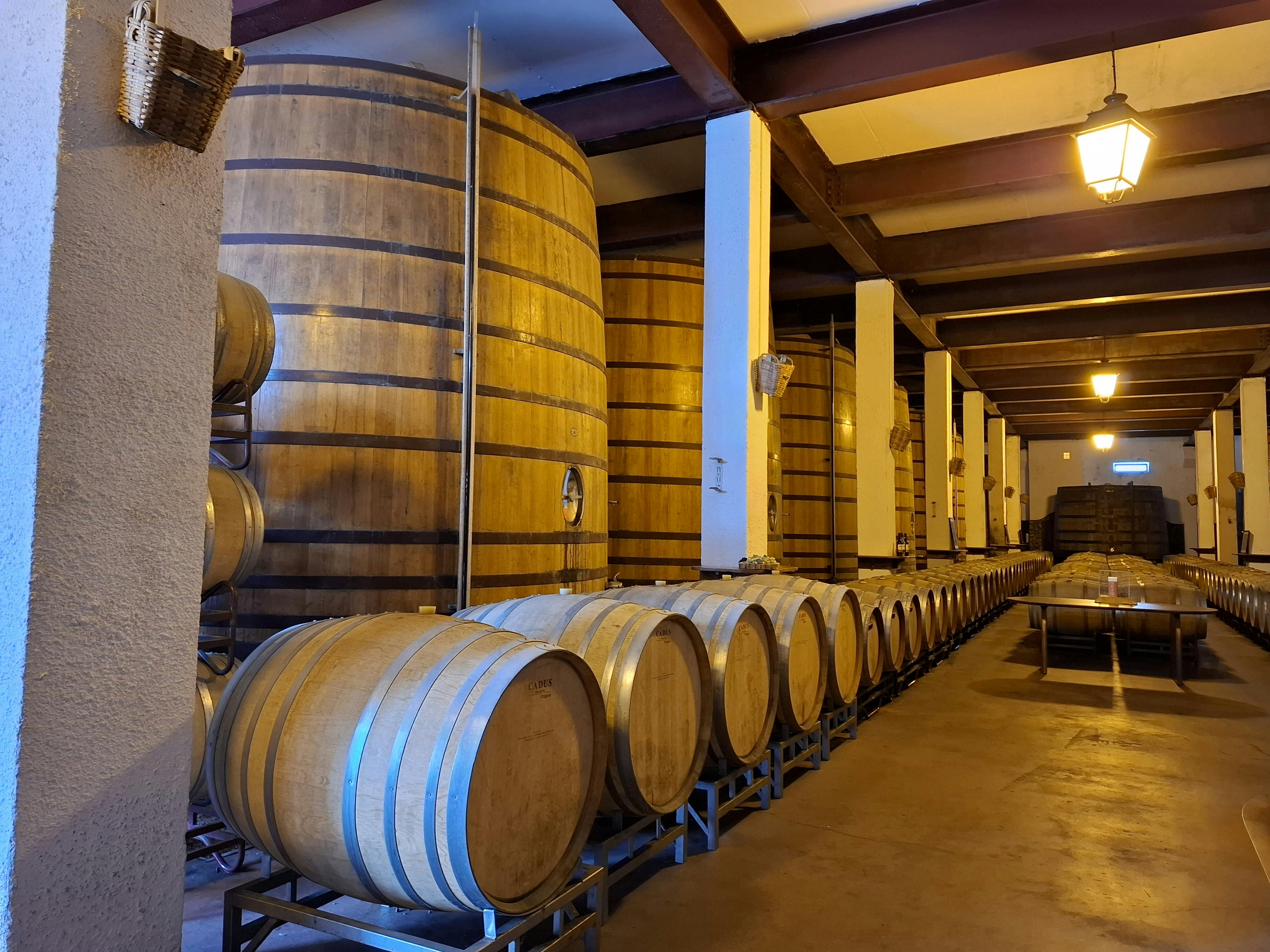 Pernod downplays US slowdown amid Brown-Forman talks