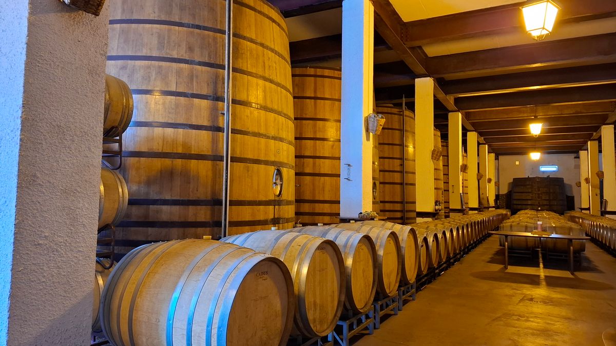 Les secrets des vignerons bio du Pic Saint-Loup