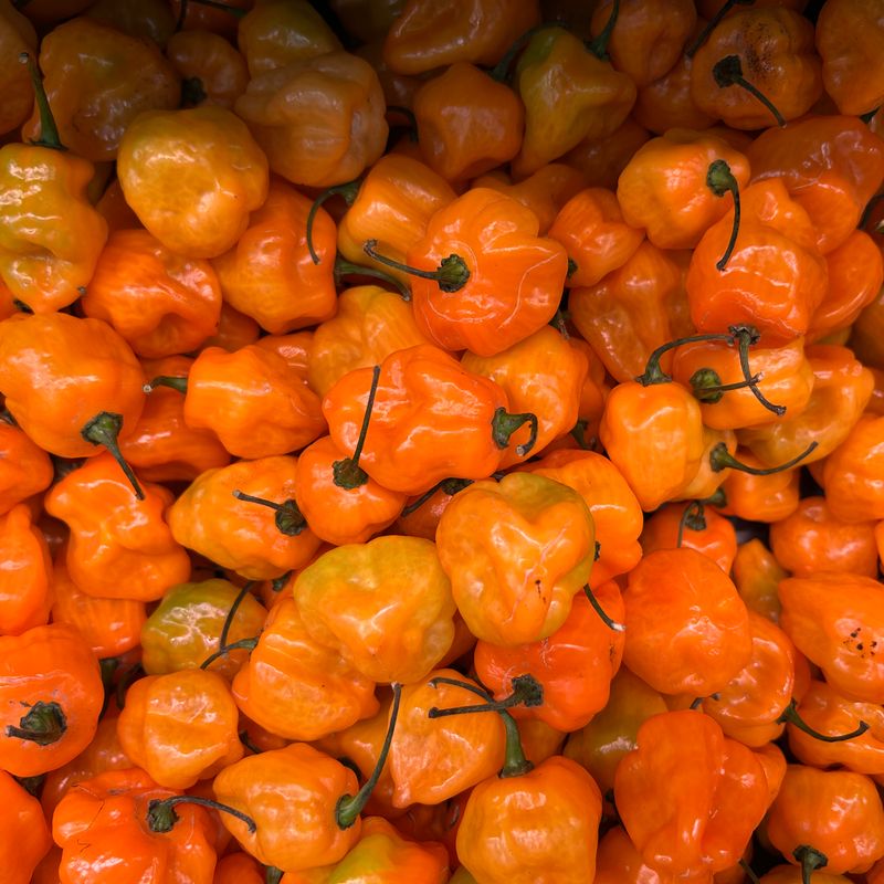 Charred Habanero and Orange Zest Jasmine Rice