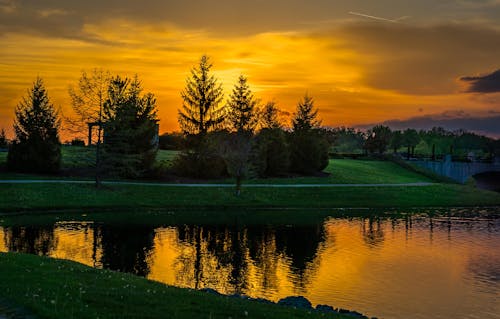 Foto profissional grátis de pôr do sol em coxhall gardens