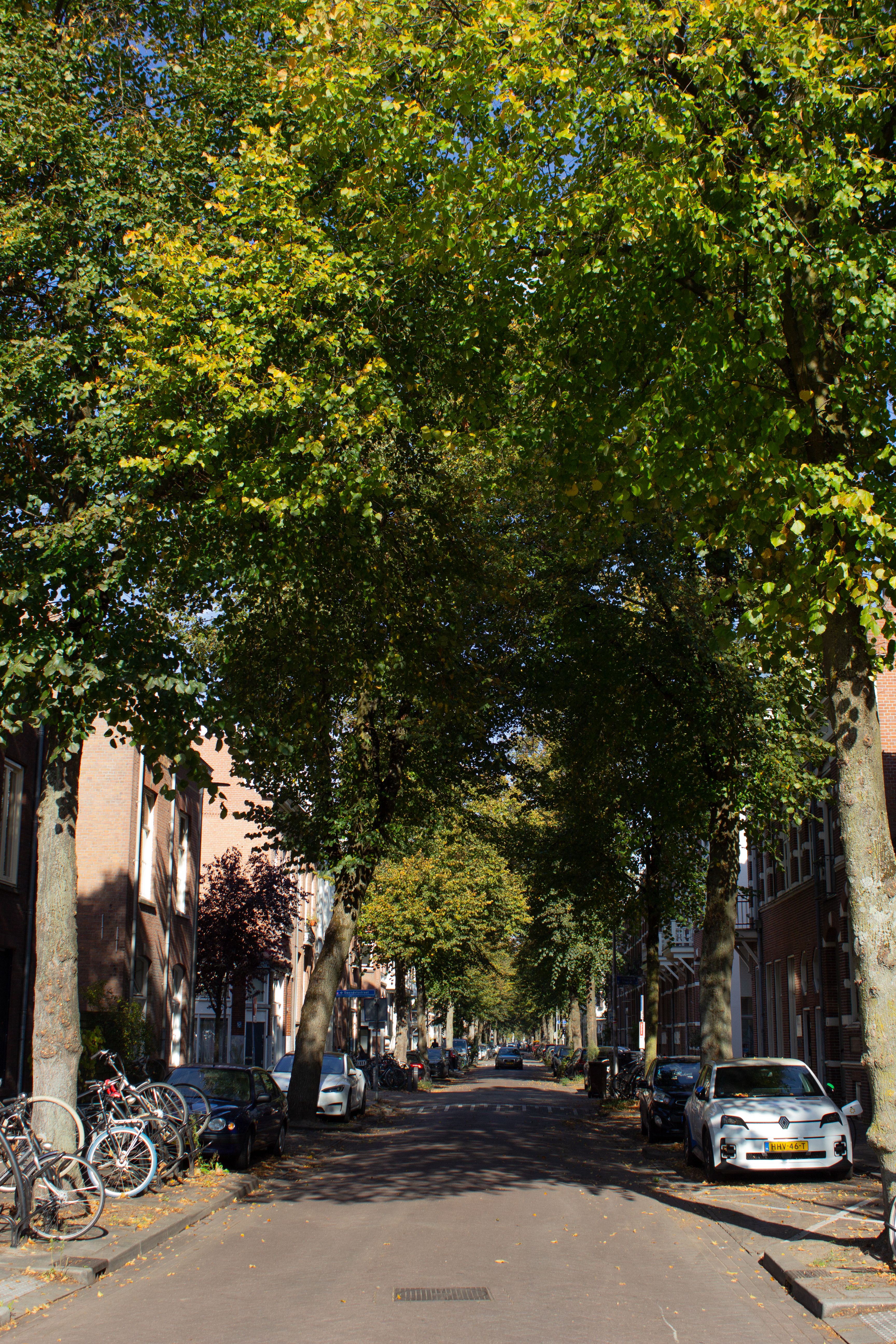 Utrechtse woonwijk met huurwoningen