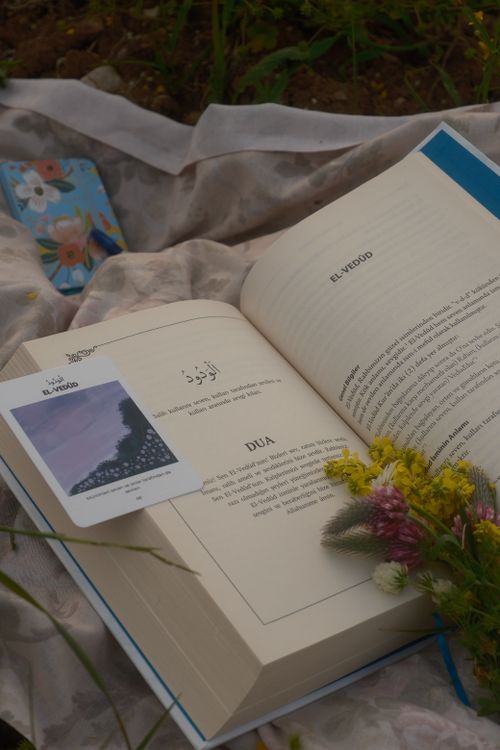 Free A book open on a cloth with flowers and an artistic card, creating a serene outdoor scene. Stock Photo