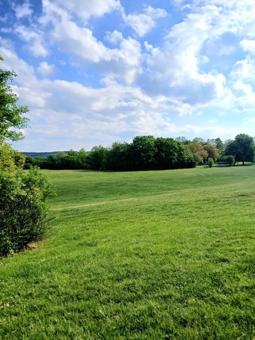 Free A tranquil green field under a bright blue sky with scattered clouds, ideal for relaxation. Stock Photo