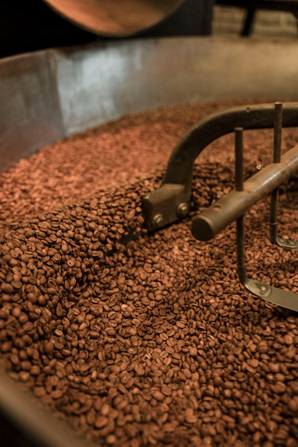 Nightshift coffee from Decaf &middot; sugarcane process