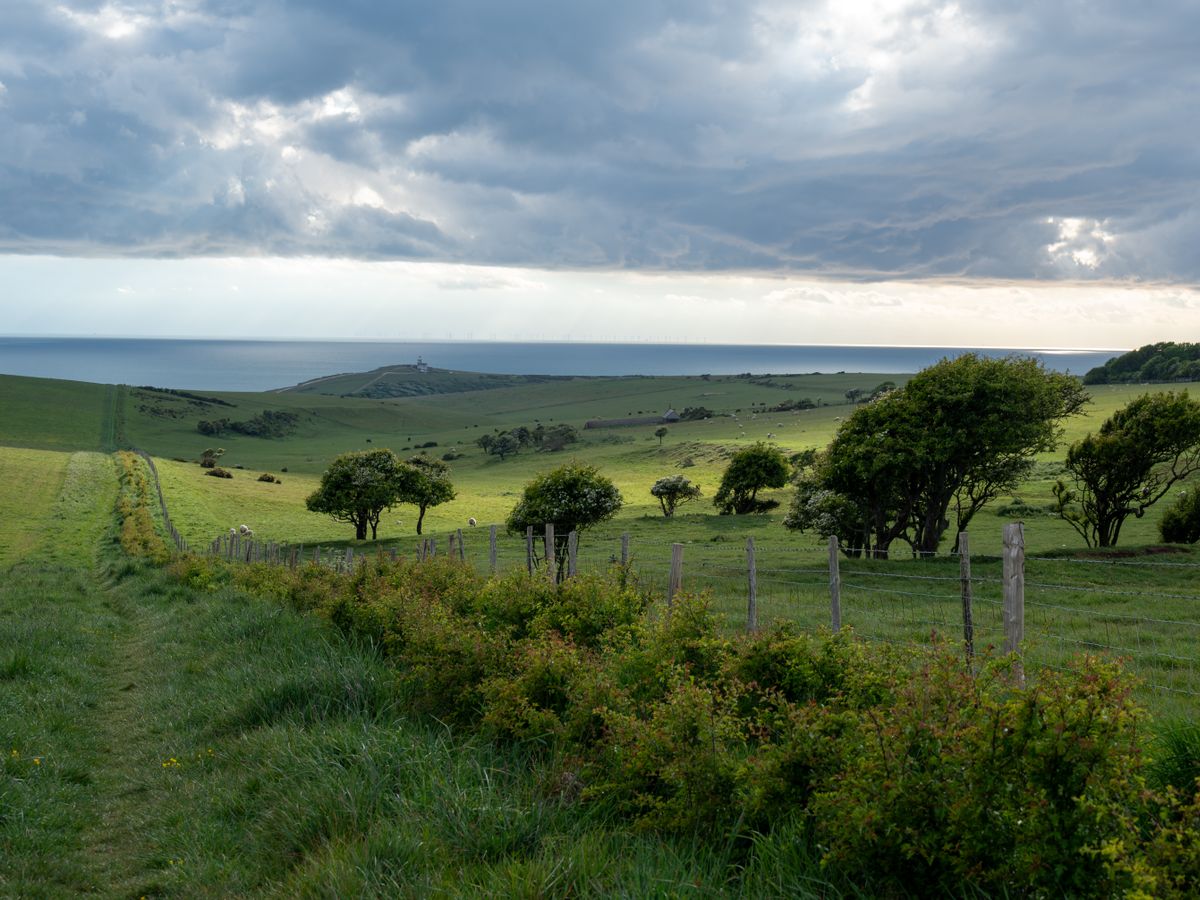 3 Day Holistic Health & Healing Ayurveda Retreat in UK 3