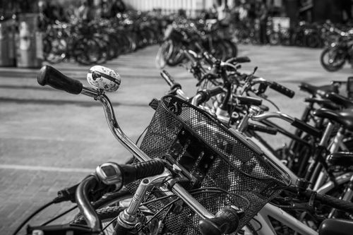 Free Black and white photograph of a crowded bicycle parking area for urban cycling enthusiasts. Stock Photo