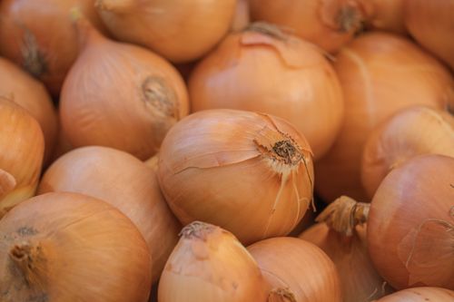 Free Close-up of fresh brown onions in a market setting, showcasing natural textures. Stock Photo