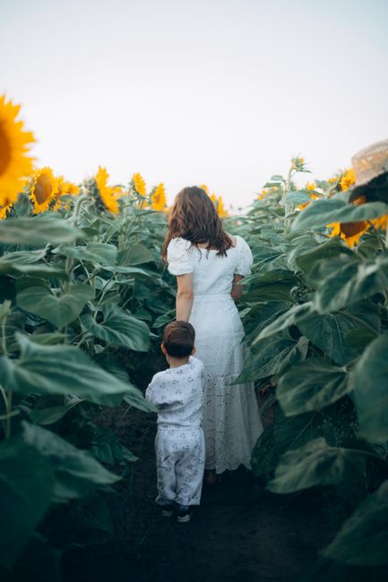 A heartwarming scene of a mother and child walking through a vibrant sunflower field, captured from behind.