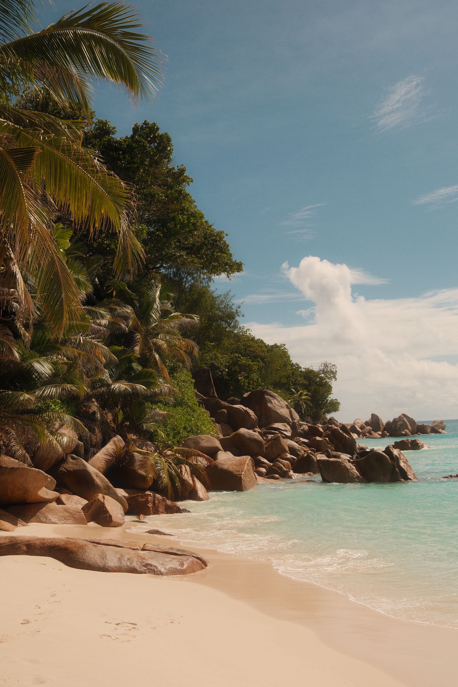 Guided Excursions in Seychelles