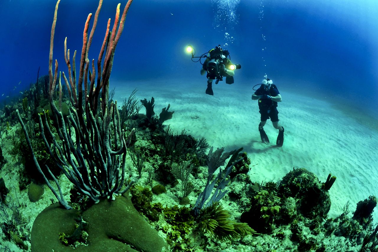 2 Scuba Divers Underwater