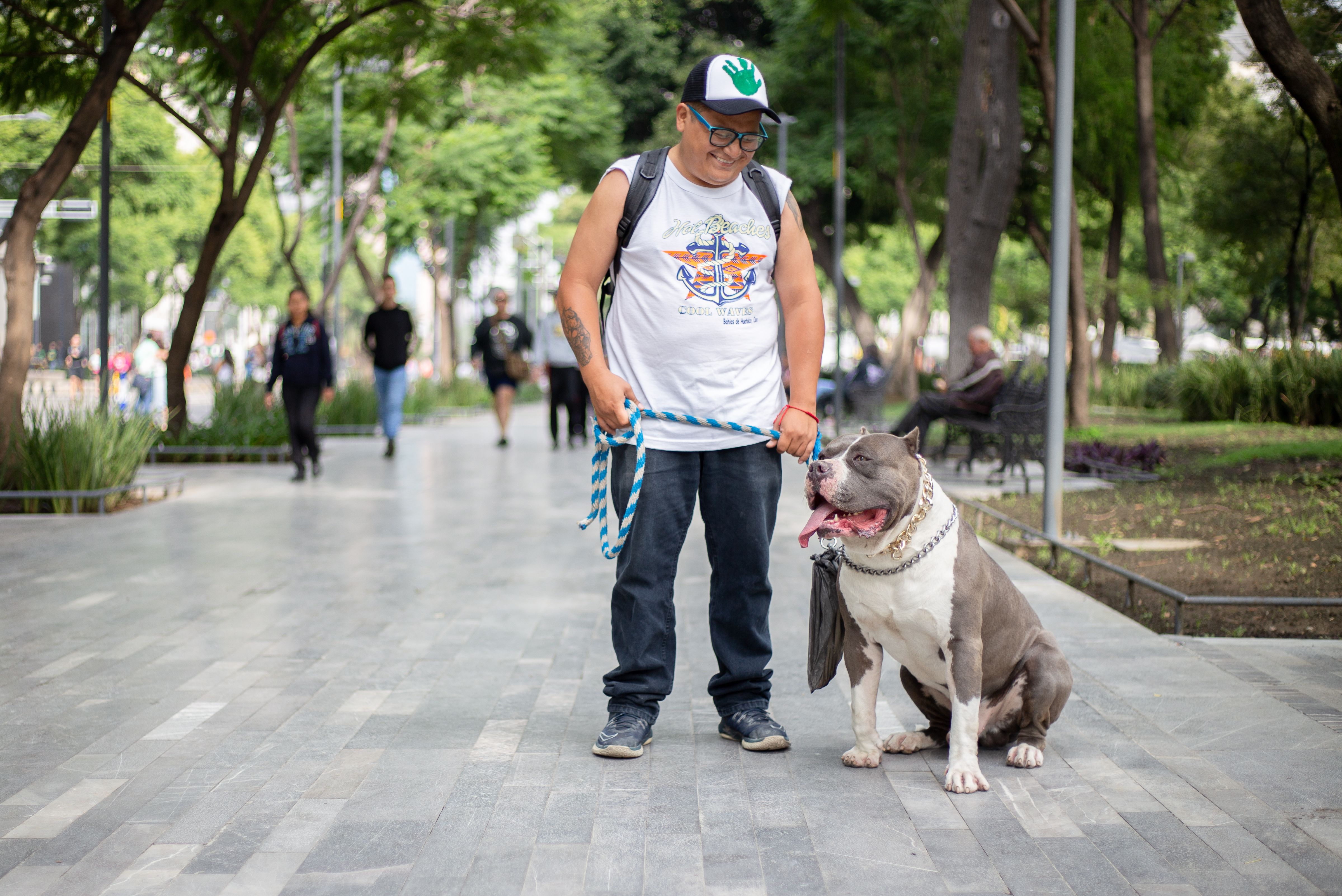 Viajar en avión con tu perro: el transportín aprobado y crash-tested q - Dispositivo inteligente para mascotas