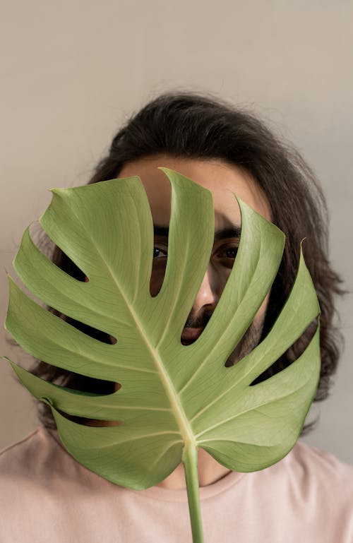 Free Photo of Man Covering His Face With Leaf Stock Photo